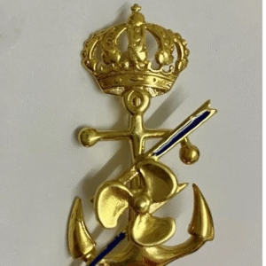 Pin Energia y Propulsión